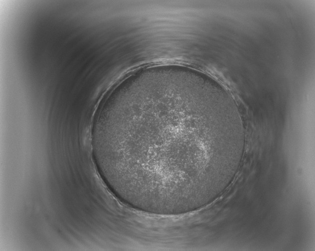 X0000068730002200605051511