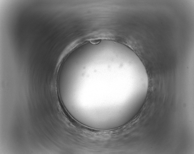 X0000068730004200605051511