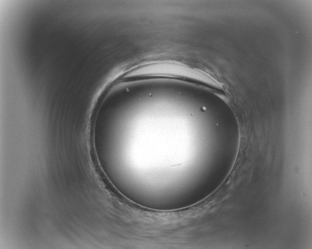 X0000068730006200605051511