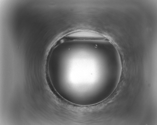 X0000068730007200605051511