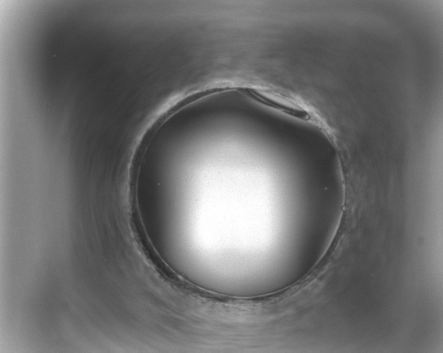 X0000068730008200605051511