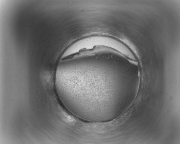 X0000068730009200605051511