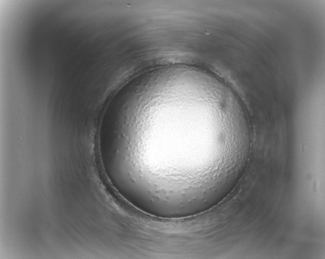 X0000068730010200605051511