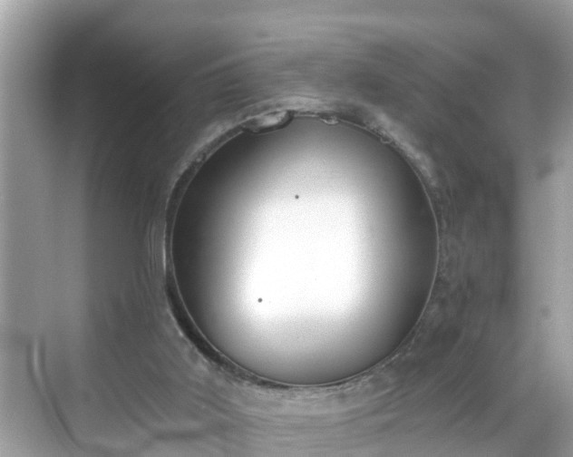 X0000068730011200605051511