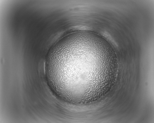 X0000068730014200605051511