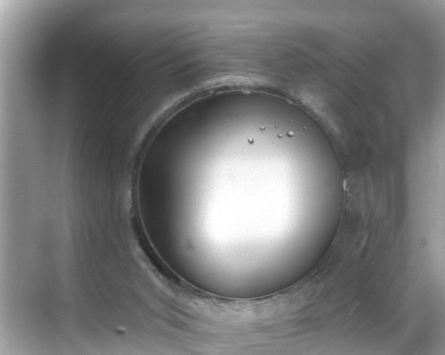 X0000068730015200605051511