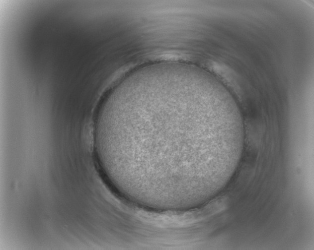 X0000068730016200605051510