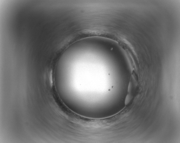 X0000068730020200605051510