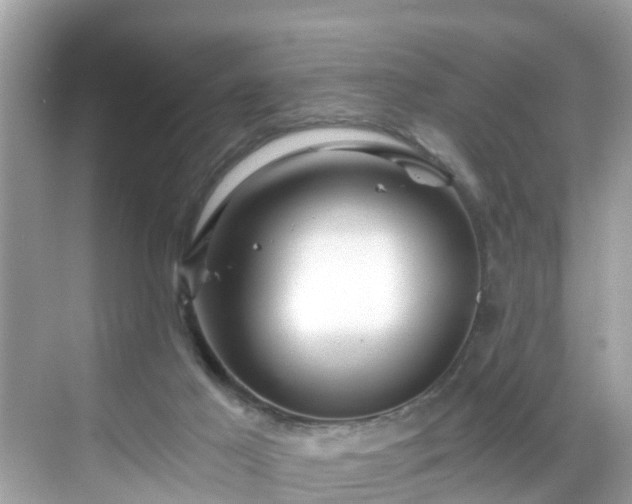 X0000068730021200605051510