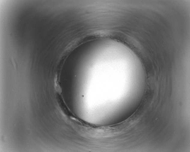 X0000068730024200605051510