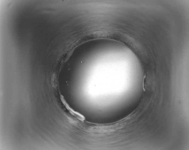 X0000068730025200605051510