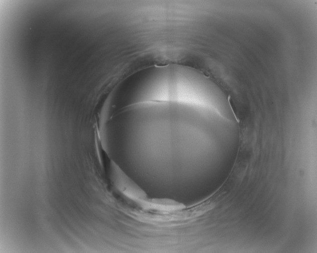 X0000068730027200605051510