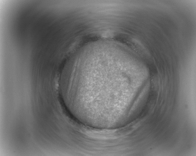 X0000068730032200605051510