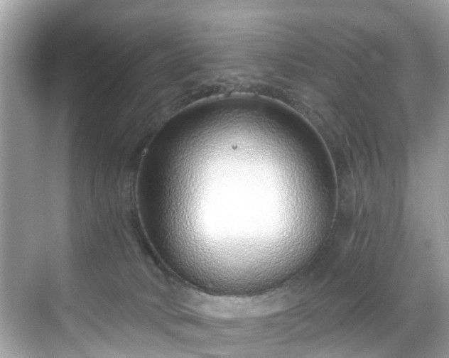 X0000068730034200605051510