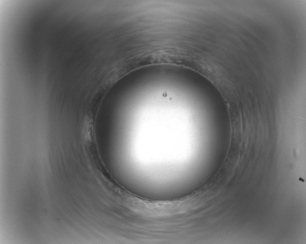 X0000068730038200605051510