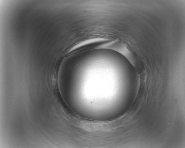 X0000068730040200605051510