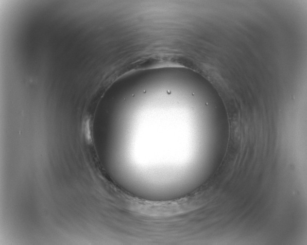 X0000068730042200605051510