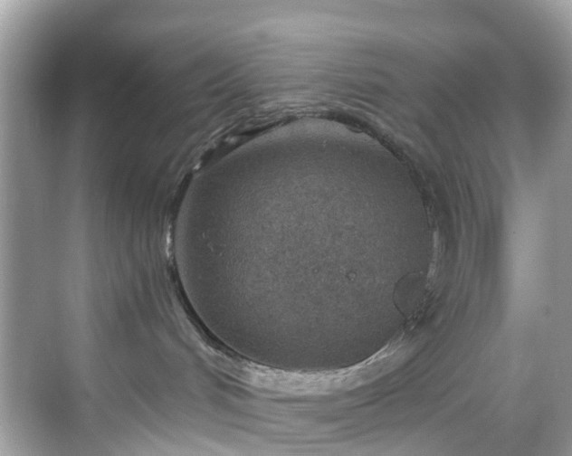 X0000068730048200605051510