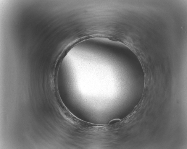 X0000068730050200605051509