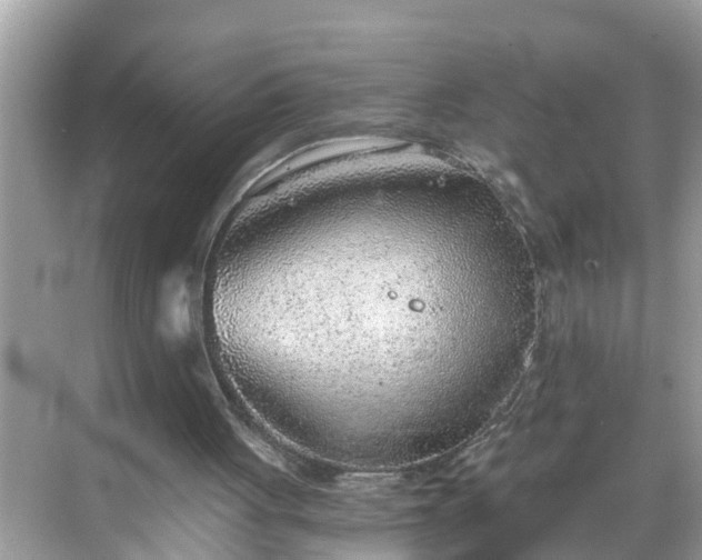 X0000068730051200605051509