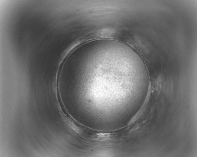 X0000068730052200605051509