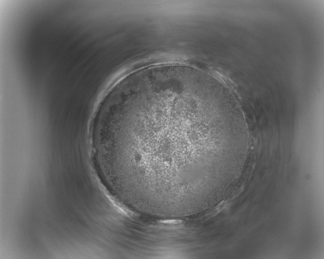 X0000068730053200605051509