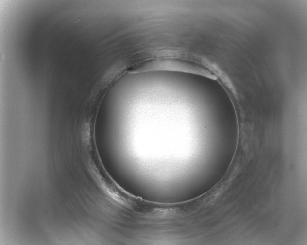 X0000068730057200605051509