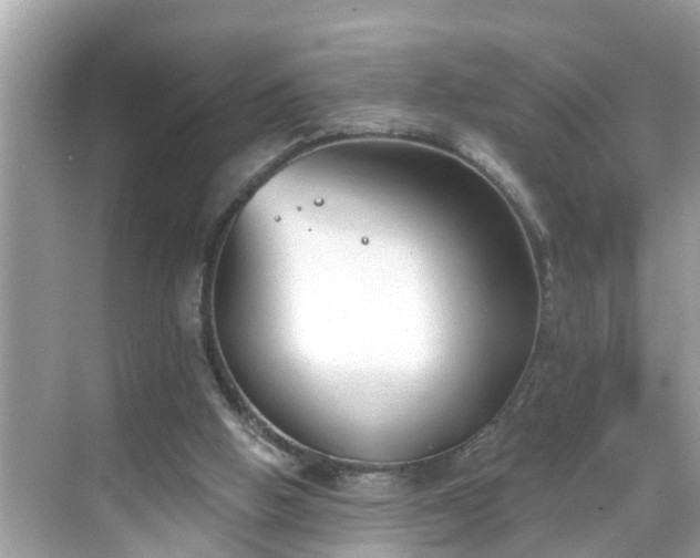 X0000068730058200605051509