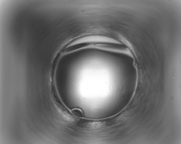 X0000068730059200605051509