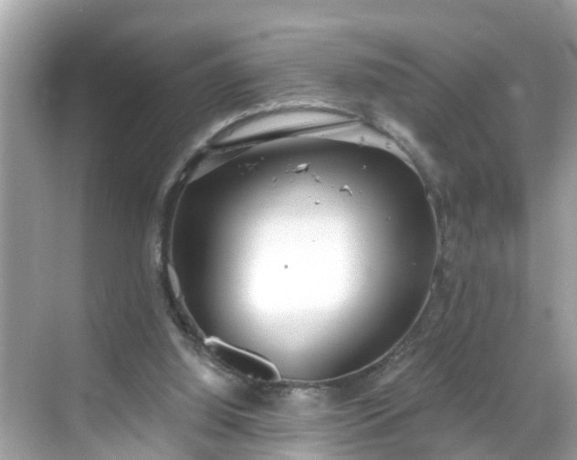 X0000068730060200605051509