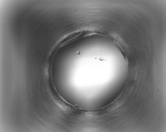 X0000068730064200605051509