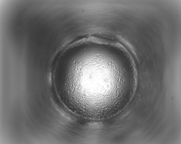 X0000068730067200605051509