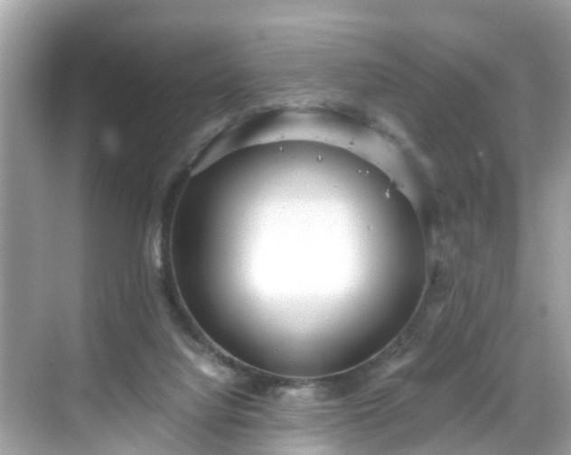 X0000068730068200605051509