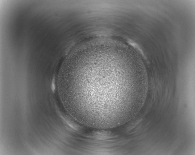 X0000068730069200605051509