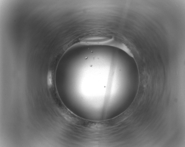 X0000068730075200605051510