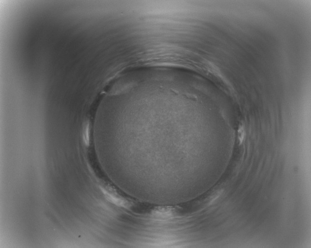 X0000068730076200605051510