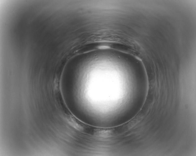 X0000068730081200605051510