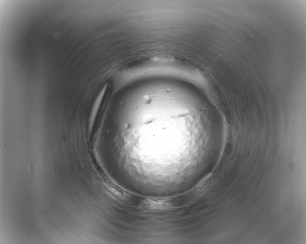 X0000068730093200605051510