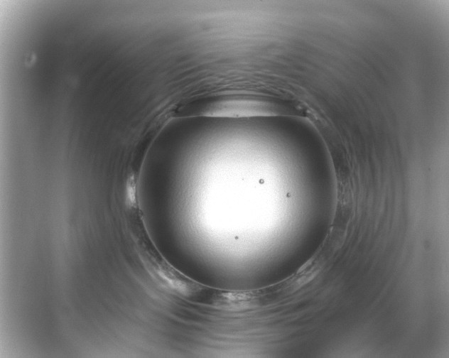 X0000068730095200605051510