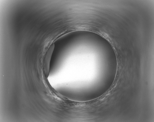 X0000068730097200605051509