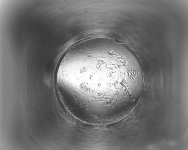 X0000068730099200605051509