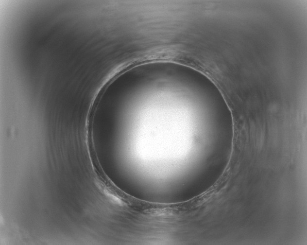 X0000068730100200605051509