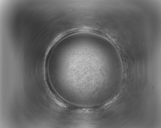 X0000068730102200605051509