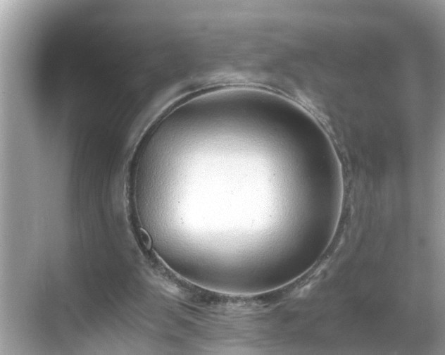 X0000068730103200605051509