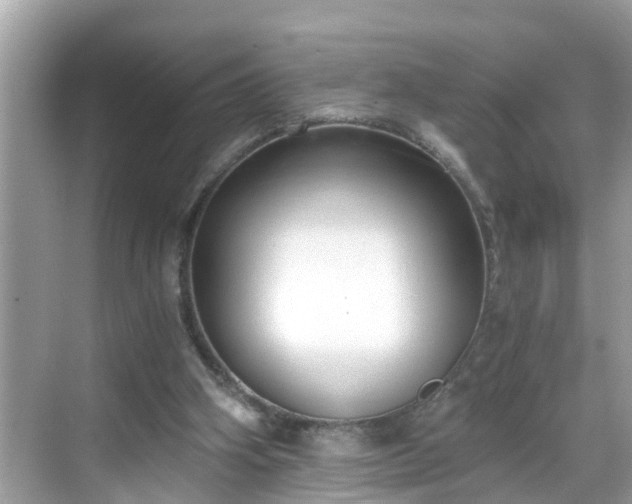 X0000068730106200605051509