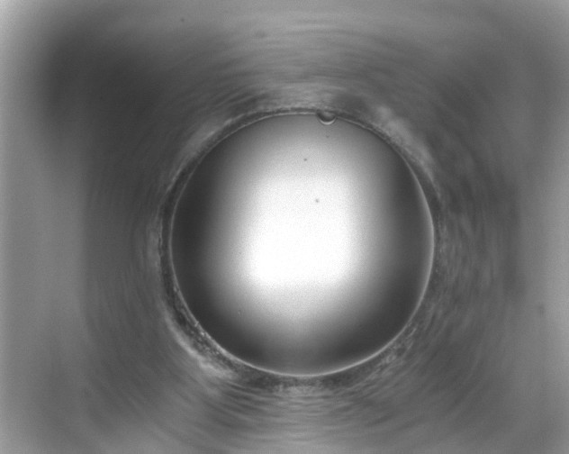 X0000068730107200605051509