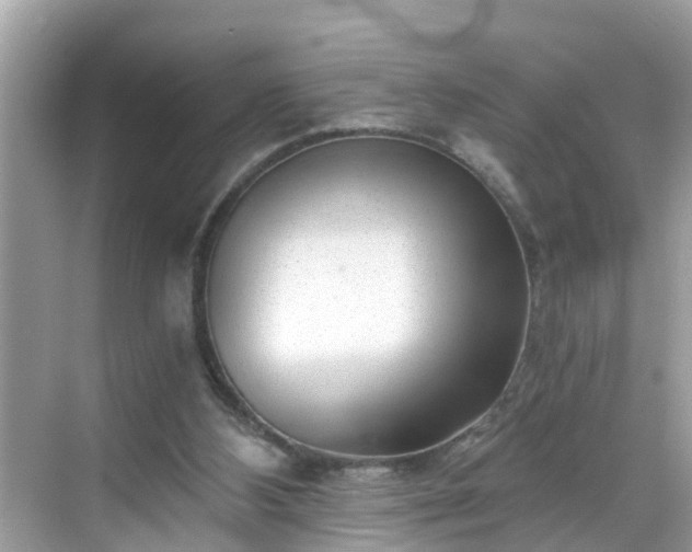 X0000068730108200605051509