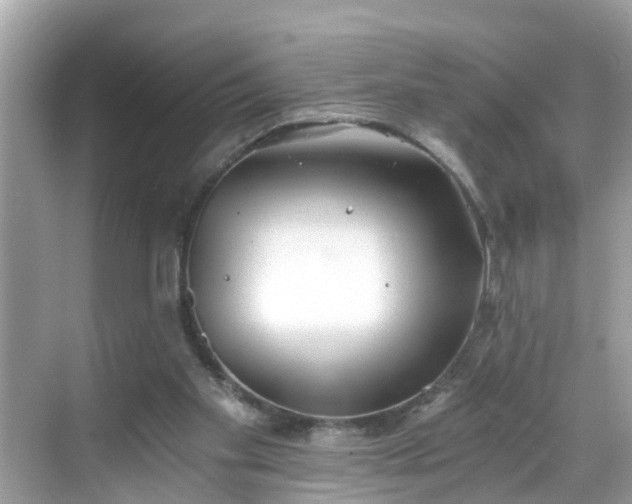 X0000068730109200605051509