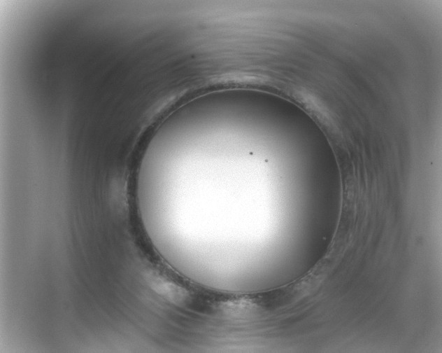 X0000068730112200605051509