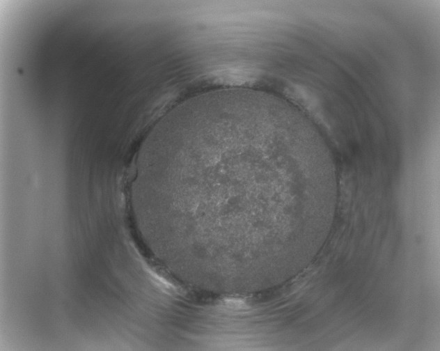 X0000068730114200605051509